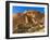 Pueblo Bonito Chaco Culture National Historical Park Scenery, New Mexico-Michael DeFreitas-Framed Photographic Print