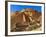 Pueblo Bonito Chaco Culture National Historical Park Scenery, New Mexico-Michael DeFreitas-Framed Photographic Print