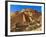 Pueblo Bonito Chaco Culture National Historical Park Scenery, New Mexico-Michael DeFreitas-Framed Photographic Print