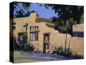 Pueblo in New Mexico-Patti Mollica-Stretched Canvas