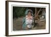 Pueblo Indian Baby Snug as a Bug in a Rug in his Papoose-Lantern Press-Framed Art Print