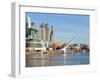 Puente De La Mujer, Buenos Aires, Argentina, South America-Christian Kober-Framed Photographic Print