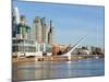 Puente De La Mujer, Buenos Aires, Argentina, South America-Christian Kober-Mounted Photographic Print