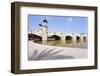 Puente Del Real Bridge, Valencia, Comunidad Valencia, Spain, Europe-Markus Lange-Framed Photographic Print