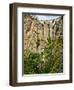 Puente Nuevo (New Bridge) over the El Tajo Gorge of the River Guadalevin, Ronda, Andalucia, Spain-Giles Bracher-Framed Photographic Print