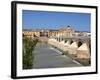 Puente Romano over the Rio Guadalquivir, Old Town, Cordoba, Andalusia, Spain, Europe-Hans Peter Merten-Framed Photographic Print