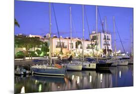 Puerto de Morgan, Gran Canaria, Canary Islands, Spain, Atlantic Ocean, Europe-Neil Farrin-Mounted Photographic Print