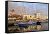 Puerto de Morgan, Gran Canaria, Canary Islands, Spain, Atlantic Ocean, Europe-Neil Farrin-Framed Stretched Canvas