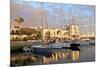 Puerto de Morgan, Gran Canaria, Canary Islands, Spain, Atlantic Ocean, Europe-Neil Farrin-Mounted Photographic Print