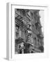 Puerto Rican Boys Climbing on Tenement Fire Escape-Al Fenn-Framed Photographic Print