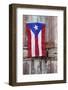 Puerto Rican Flag on Old Door-Darrell Gulin-Framed Photographic Print