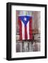 Puerto Rican Flag on Old Door-Darrell Gulin-Framed Photographic Print