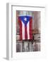 Puerto Rican Flag on Old Door-Darrell Gulin-Framed Photographic Print