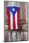 Puerto Rican Flag on Old Door-Darrell Gulin-Mounted Photographic Print