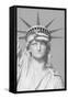 Puerto Rican Flag on Statue of Liberty-null-Framed Stretched Canvas