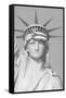 Puerto Rican Flag on Statue of Liberty-null-Framed Stretched Canvas