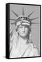 Puerto Rican Flag on Statue of Liberty-null-Framed Stretched Canvas