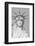 Puerto Rican Flag on Statue of Liberty-null-Framed Photographic Print