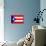 Puerto Rico National Flag Poster Print-null-Mounted Poster displayed on a wall