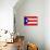 Puerto Rico National Flag Poster Print-null-Mounted Poster displayed on a wall