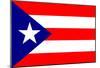 Puerto Rico National Flag Poster Print-null-Mounted Poster