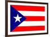 Puerto Rico National Flag-null-Framed Art Print