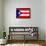 Puerto Rico National Flag-null-Framed Art Print displayed on a wall