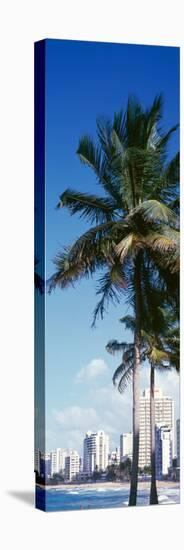 Puerto Rico, San Juan, Condado Area-null-Stretched Canvas