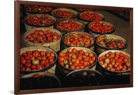 Puerto Rico: Tomatoes-Jack Delano-Framed Giclee Print