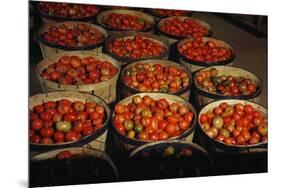 Puerto Rico: Tomatoes-Jack Delano-Mounted Premium Giclee Print