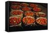 Puerto Rico: Tomatoes-Jack Delano-Framed Stretched Canvas