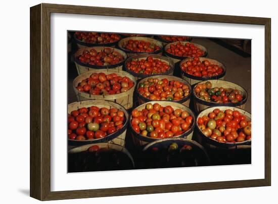 Puerto Rico: Tomatoes-Jack Delano-Framed Giclee Print