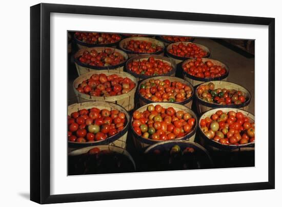 Puerto Rico: Tomatoes-Jack Delano-Framed Giclee Print