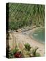 Puerto Vallarta. Mexico, Central America-Firecrest Pictures-Stretched Canvas