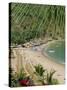 Puerto Vallarta. Mexico, Central America-Firecrest Pictures-Stretched Canvas