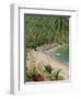 Puerto Vallarta. Mexico, Central America-Firecrest Pictures-Framed Photographic Print