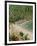 Puerto Vallarta. Mexico, Central America-Firecrest Pictures-Framed Photographic Print