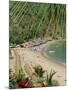 Puerto Vallarta. Mexico, Central America-Firecrest Pictures-Mounted Photographic Print