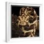 Puff Adder (Bitis Arietans) Captive Occurs In Tanzania-Michael D. Kern-Framed Premium Photographic Print