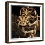 Puff Adder (Bitis Arietans) Captive Occurs In Tanzania-Michael D. Kern-Framed Photographic Print