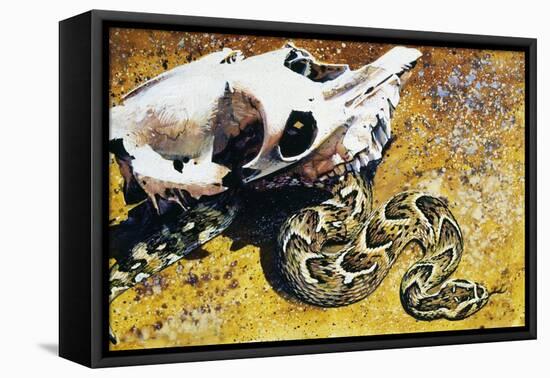 Puff Adder or African Puff Adder (Bitis Arietans), Viperidae-null-Framed Stretched Canvas