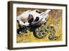 Puff Adder or African Puff Adder (Bitis Arietans), Viperidae-null-Framed Giclee Print