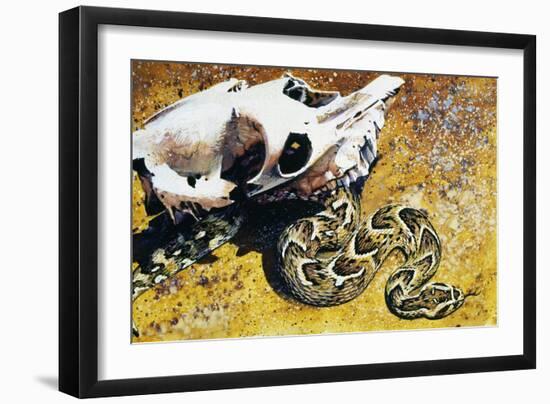 Puff Adder or African Puff Adder (Bitis Arietans), Viperidae-null-Framed Giclee Print