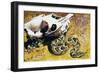 Puff Adder or African Puff Adder (Bitis Arietans), Viperidae-null-Framed Giclee Print