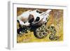 Puff Adder or African Puff Adder (Bitis Arietans), Viperidae-null-Framed Giclee Print