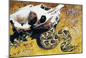 Puff Adder or African Puff Adder (Bitis Arietans), Viperidae-null-Mounted Giclee Print