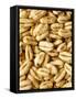 Puffed Wheat Breakfast Cereal (Honey Smacks)-null-Framed Stretched Canvas