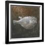 Puffer Fish, 2015-Lincoln Seligman-Framed Giclee Print