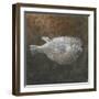 Puffer Fish, 2015-Lincoln Seligman-Framed Giclee Print