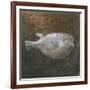 Puffer Fish, 2015-Lincoln Seligman-Framed Giclee Print